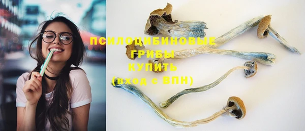 бошки Баксан