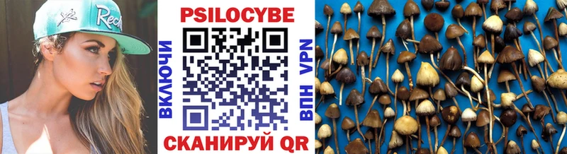 Галлюциногенные грибы Magic Shrooms  Пласт 